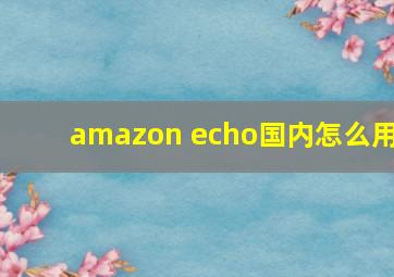 amazon echo国内怎么用